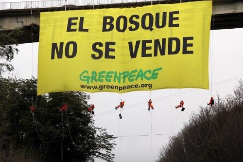 Campaña de Greenpeace para preservar los bosques 