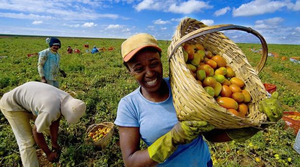 Mujer campesina / Foto: Ministerio de Agricultura