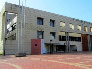 Biblioteca Departamental Rafael Carrillo 