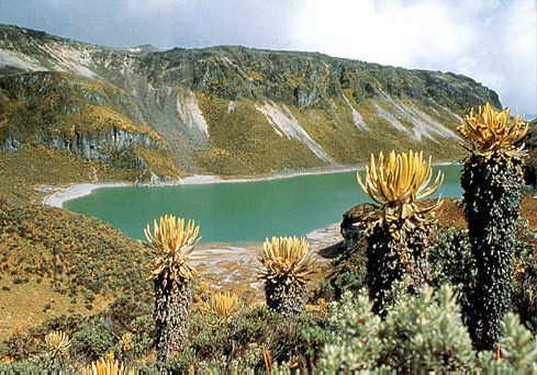 Parque Natural Los Nevados (Colombia)