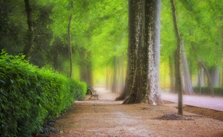 Seis Poemas de la serie Ausencias