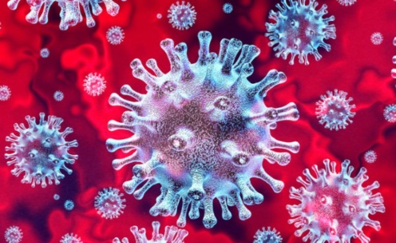 COVID-19: el virus coronado
