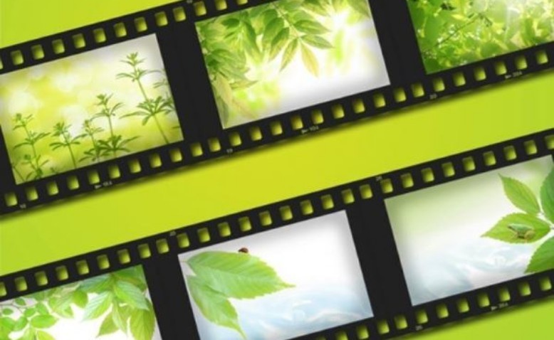 El cine y la defensa de la naturaleza