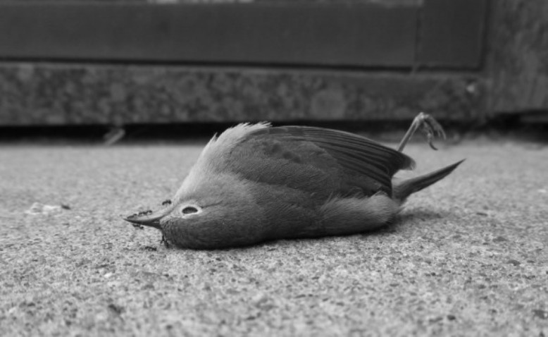 Un día después de sábado, el cuento de Gabriel García Márquez