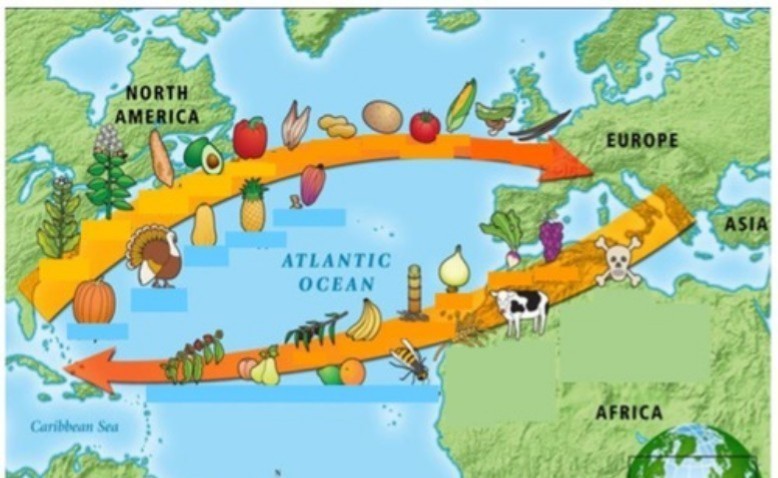 El encuentro entre América y Europa: impacto en la alimentación y los cultivos
