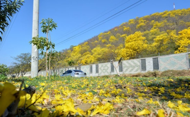 La importancia de los cerros de Valledupar
