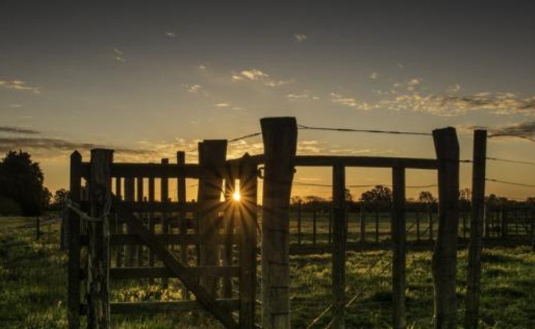 Reescribiendo historias de vidas