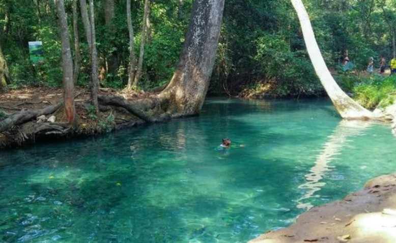 Cañaverales, un pueblo que defiende su territorio ancestral