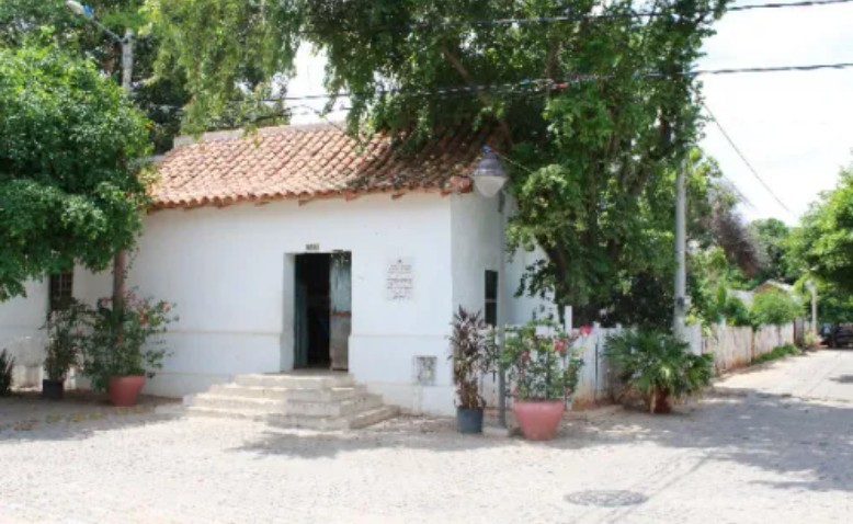 La dama de las palomas: un aparte del libro