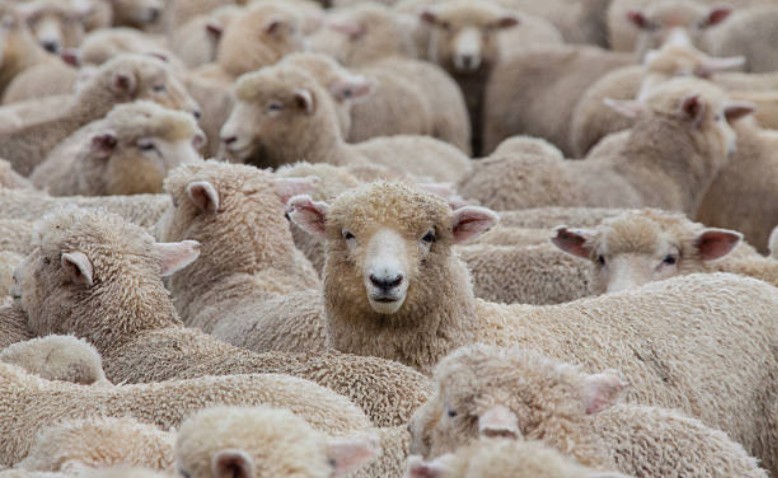 Desenmascarando la figura del intelectual rentado