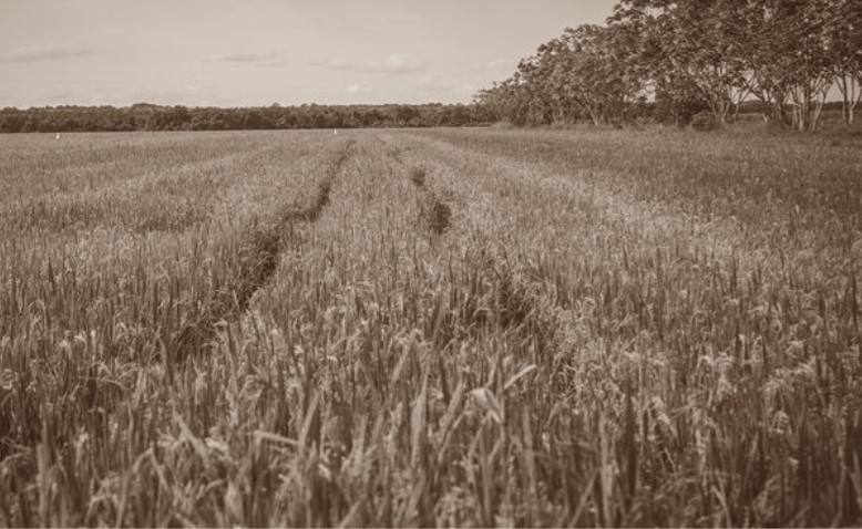El día en que la violencia llamó a mi puerta