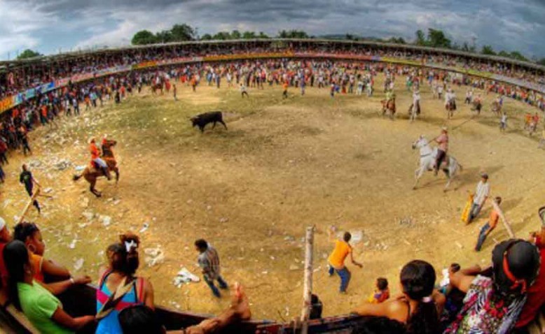 No más Olé…. Notifíquese y cúmplase