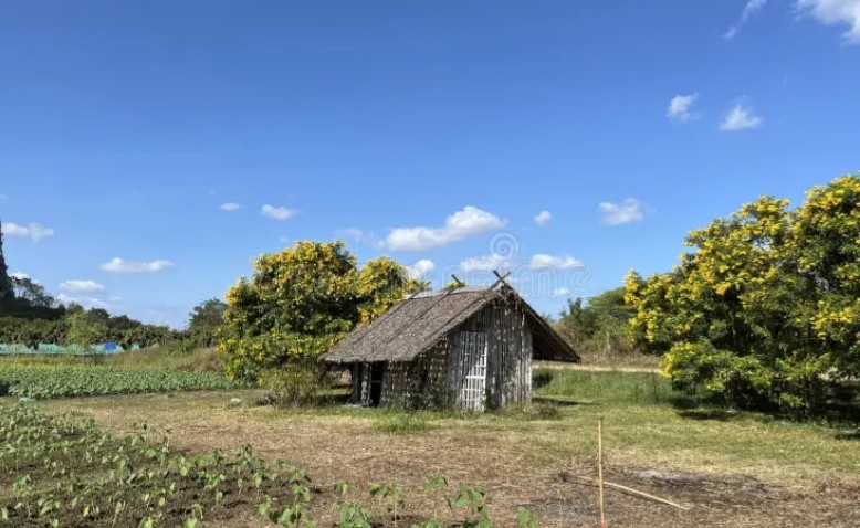 La cabaña solitaria