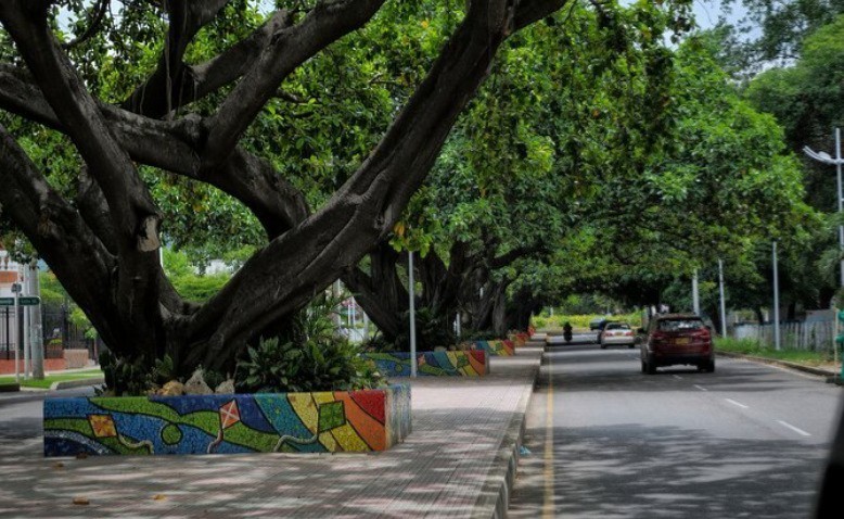Descubriendo Valledupar