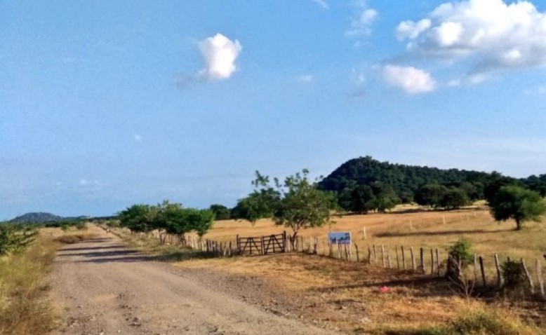 Colombia y su realidad rural