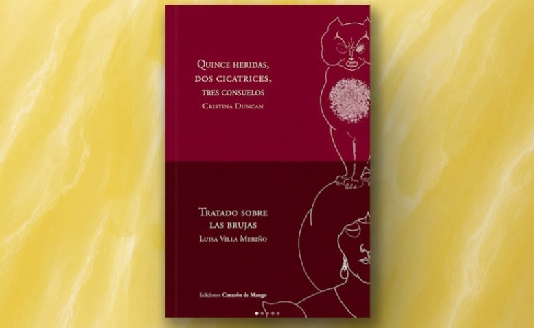 Quince heridas, dos cicatrices, tres consuelos: la poesía de Cristina Duncan